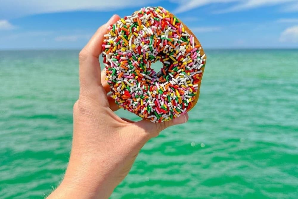 Start Your Day Right with Hilton Head’s Dolphins & Donuts Morning Tour
