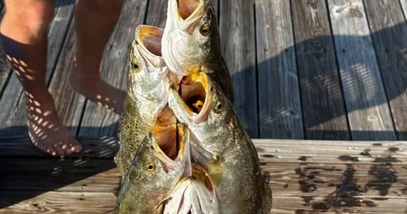 Maverick 3/4 Day Trip: Key West Fishing Charter for Tarpon, Snapper & Grouper