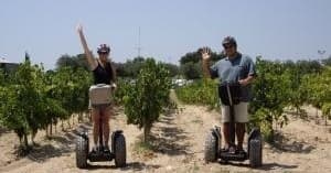 Land Adventure & Wine Tasting at Bodega Miquel Jané