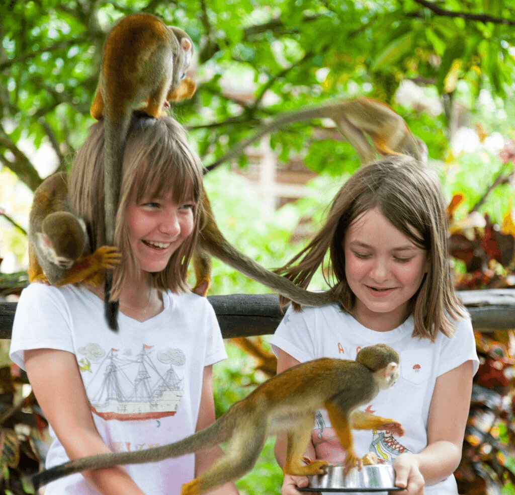 Water-Activities & Adventure at Ziplines + Monkeyland Samaná