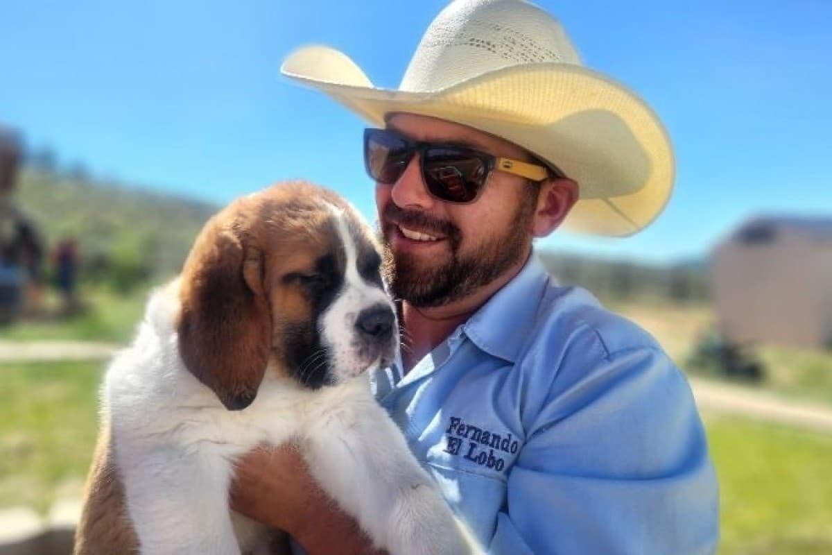 Pack Walk at Rancho Luna Lobos - Guided Wolf-Dog Ranch Walk