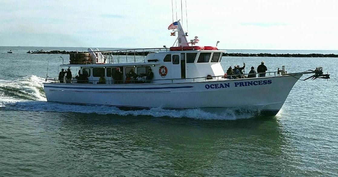 Charter fishing boat underway showing deck and horizon on open sea