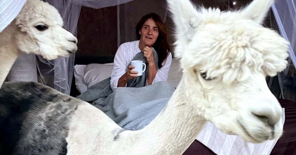 Farm Stays & Animal Encounters at Haute Goat Farm