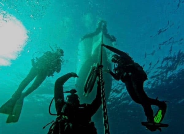 Become a Pro Diver with Ohana Diving’s Curso Divemaster in Cambrils