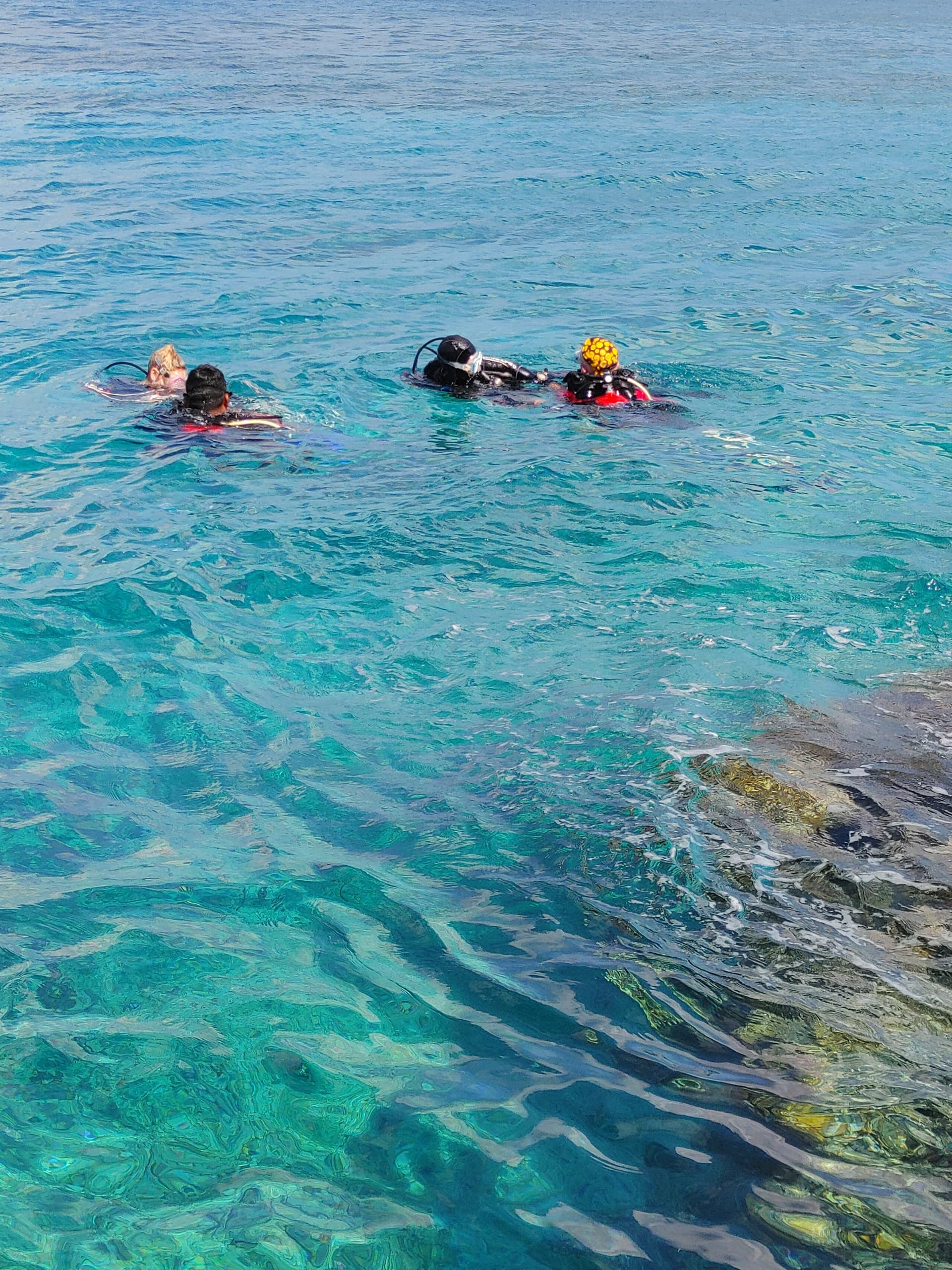 PADI Dive Master Cert & Internship with Island Divers Cozumel