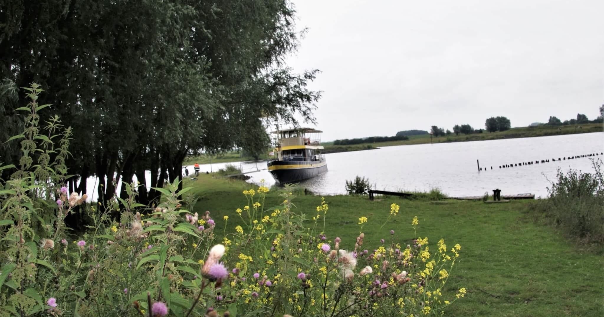 Canoe & Nature Tour at De Blauwe Bever in Wageningen