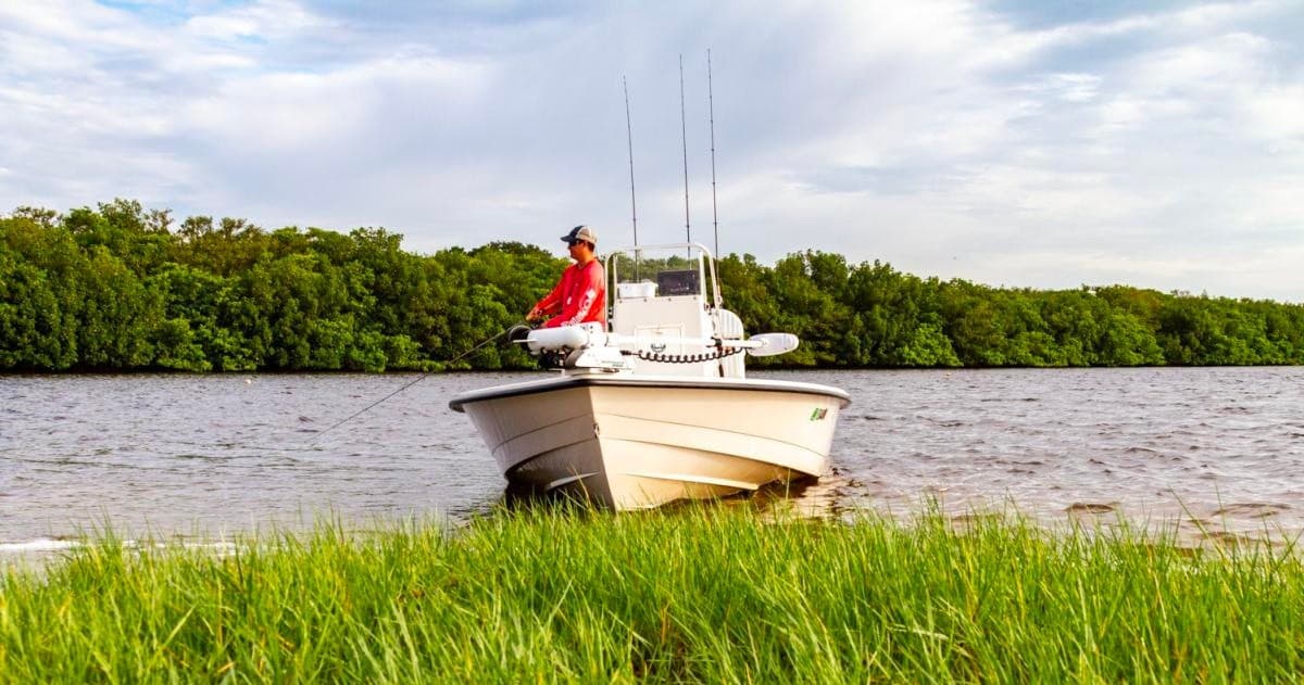 Fishing charter boat anchored in coastal marsh grass