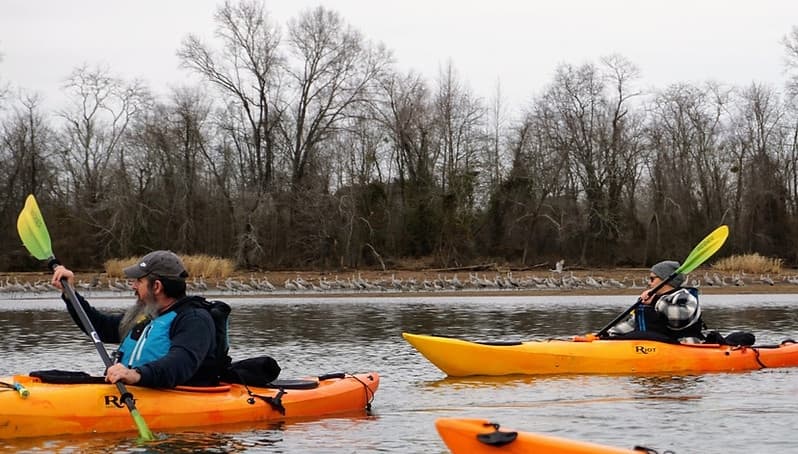 Sandhill Crane Kayak Tour with Chattanooga Guided Adventures in Birchwood
