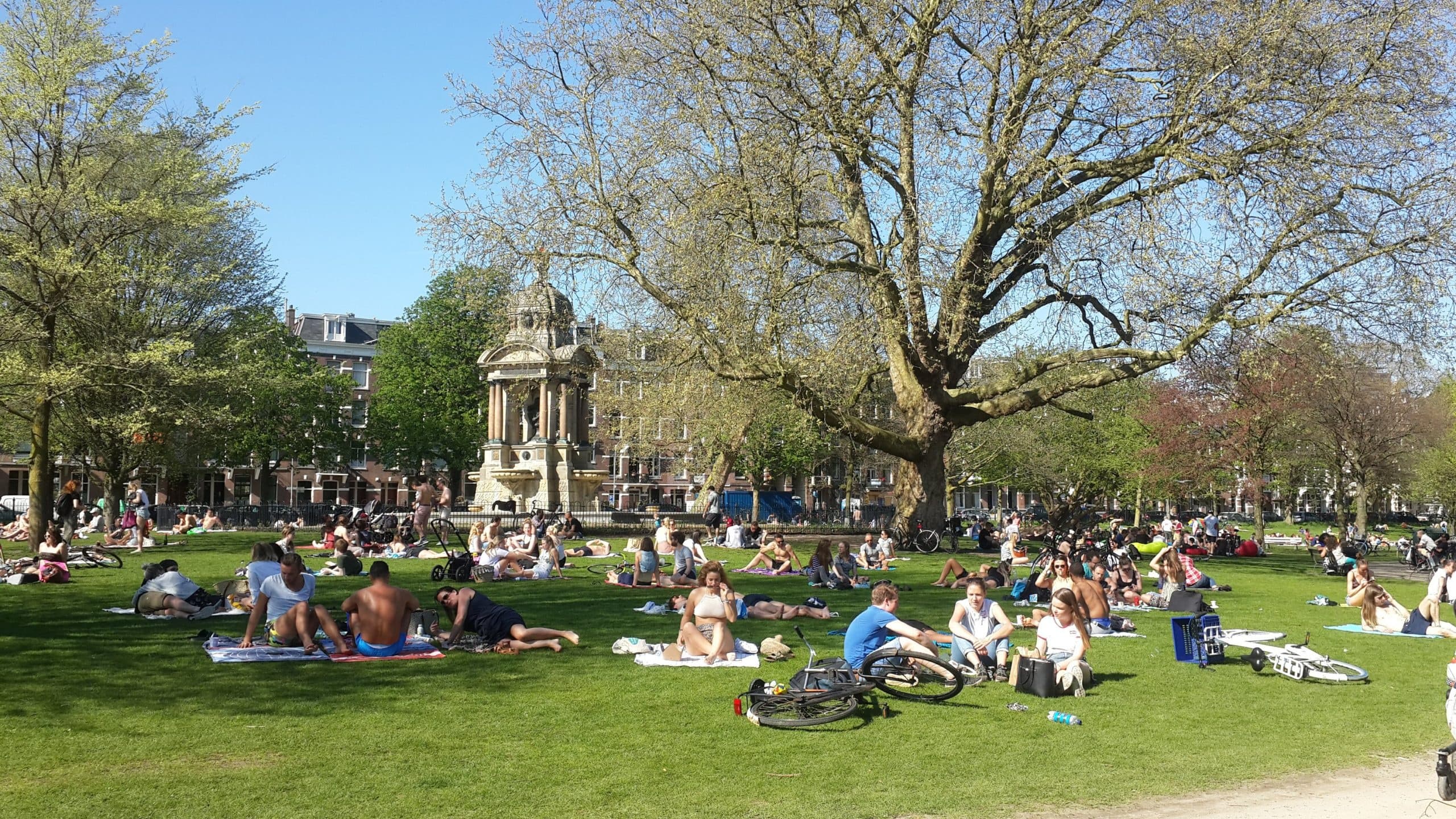 Discover De Pijp with Amsterdam in a Million's Private Tour