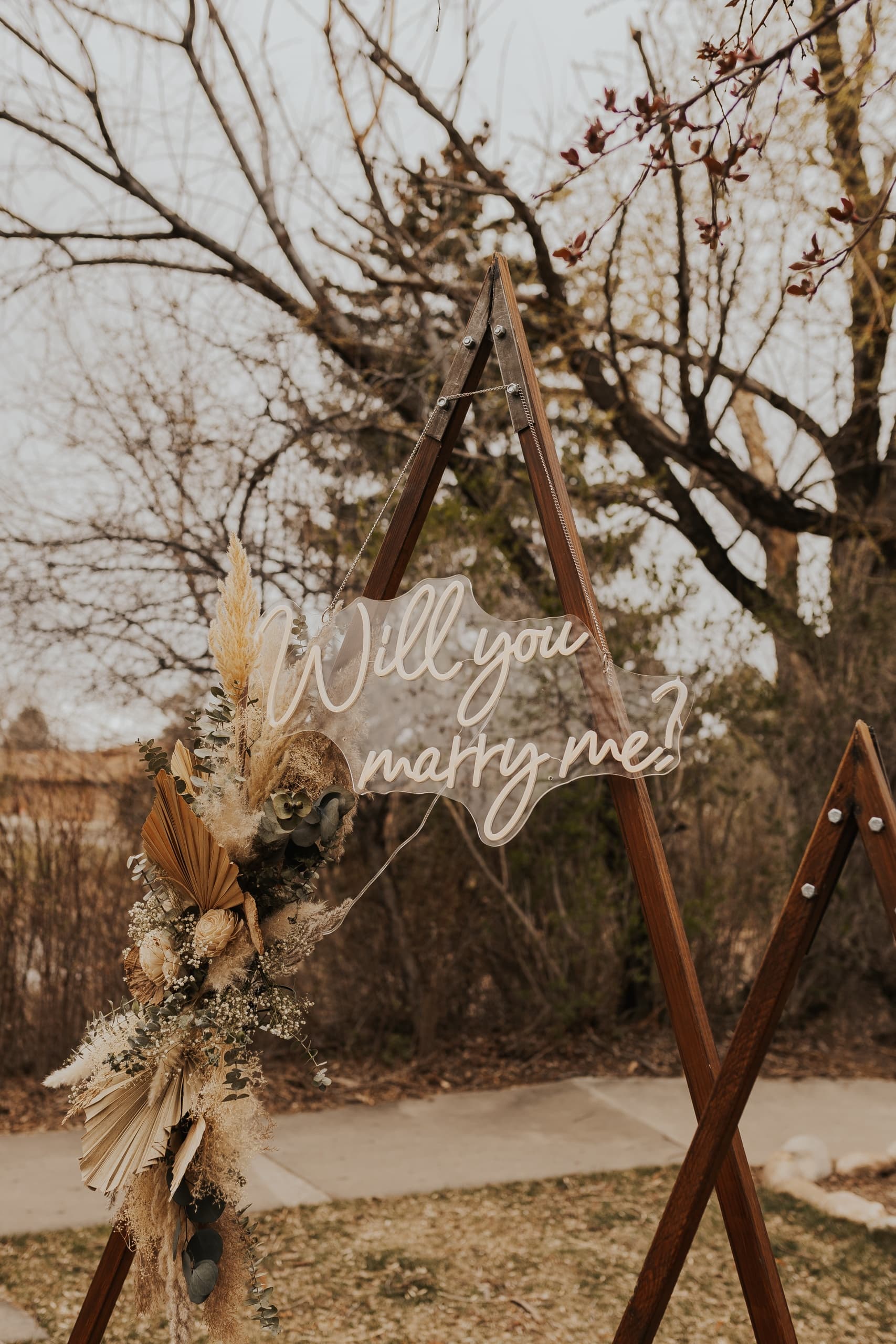 Romantic Proposal Picnic in Johnstown, Colorado