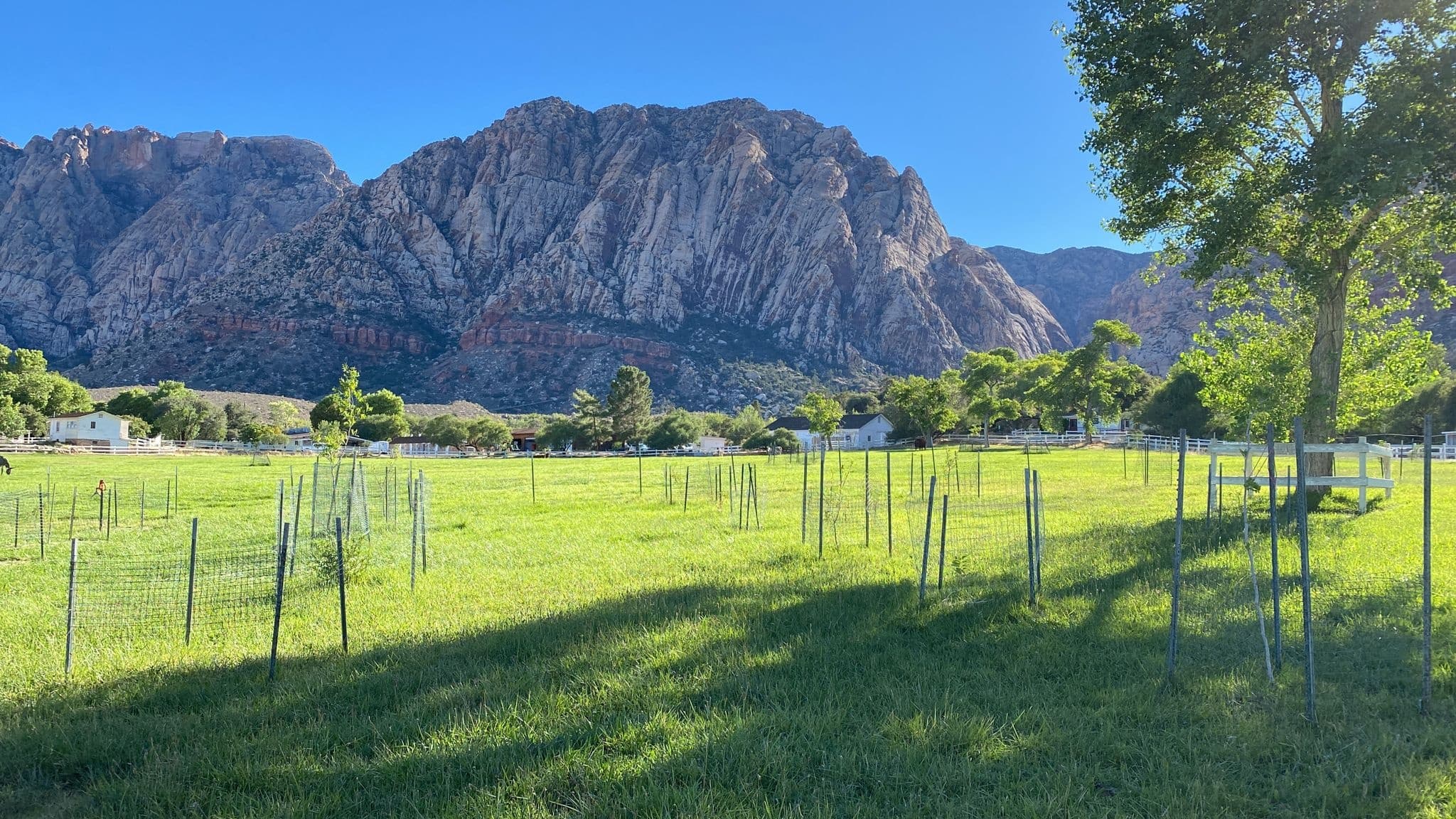 Hike and Ranch House Visit with Love Hikes in Las Vegas