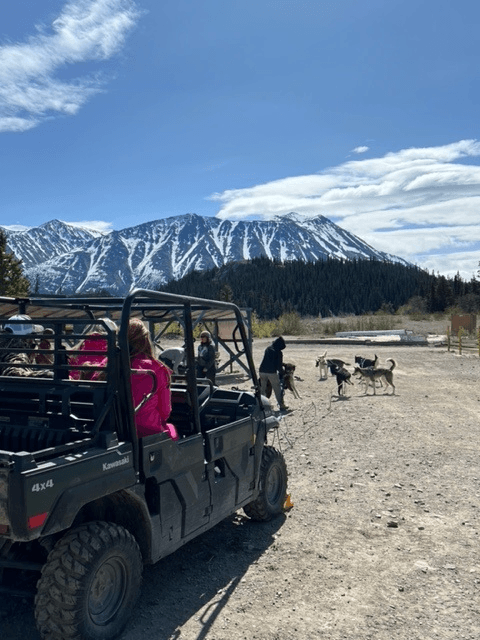 UTV tour with passengers and sled dogs near alpine mountains