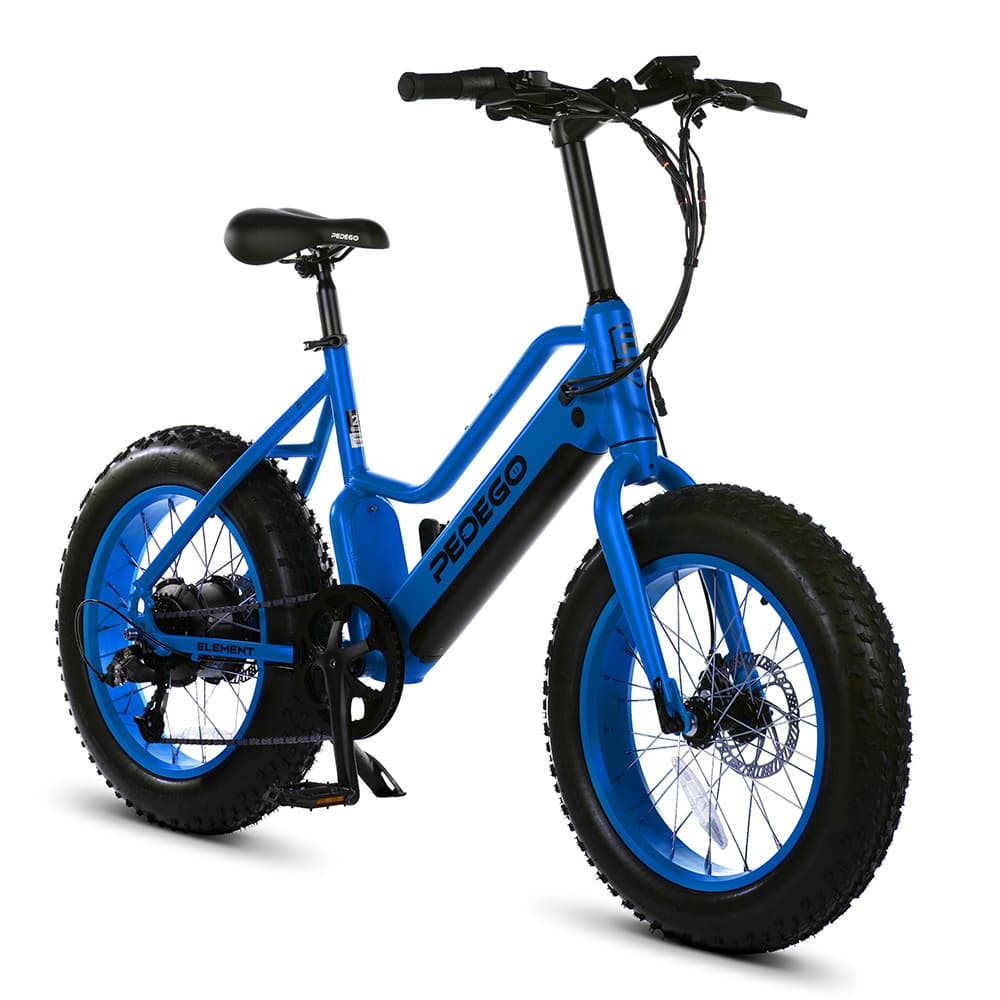 Pedego Hermann team