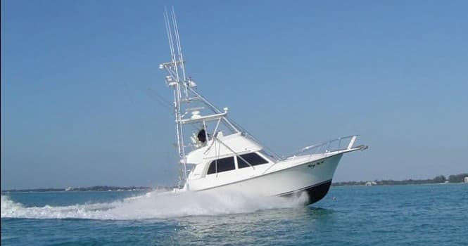 Half Day Charter with Kay K IV Fishing Charters in Islamorada