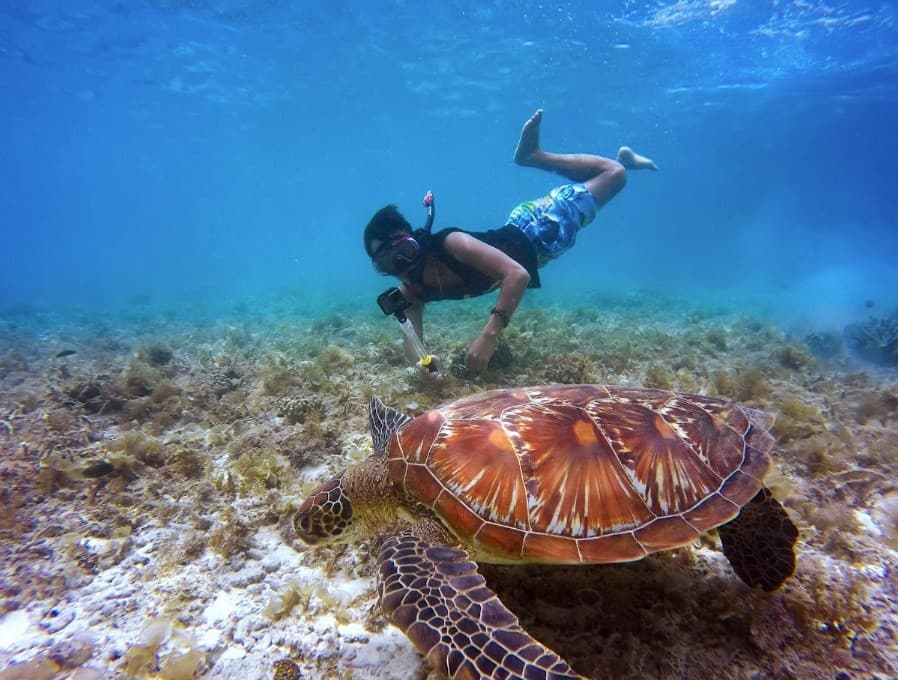 Half Day Snorkel Adventure Tour in Fajardo: Coral Reefs & Island Cays