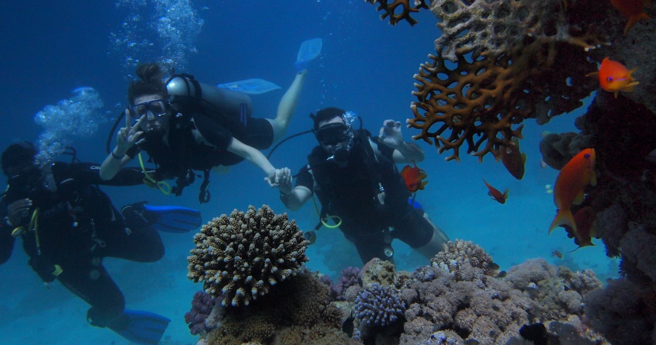 Private Scuba Charter Adventure in Fajardo, Puerto Rico