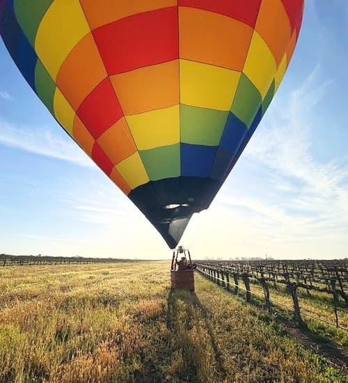 Aerial Adventure with Balloons Over Paso in Wine Country