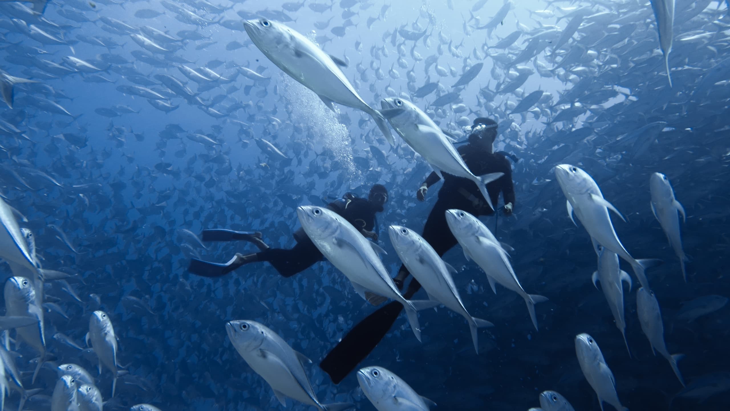 Water Activities at Cabo Pulmo with InCabo Travel
