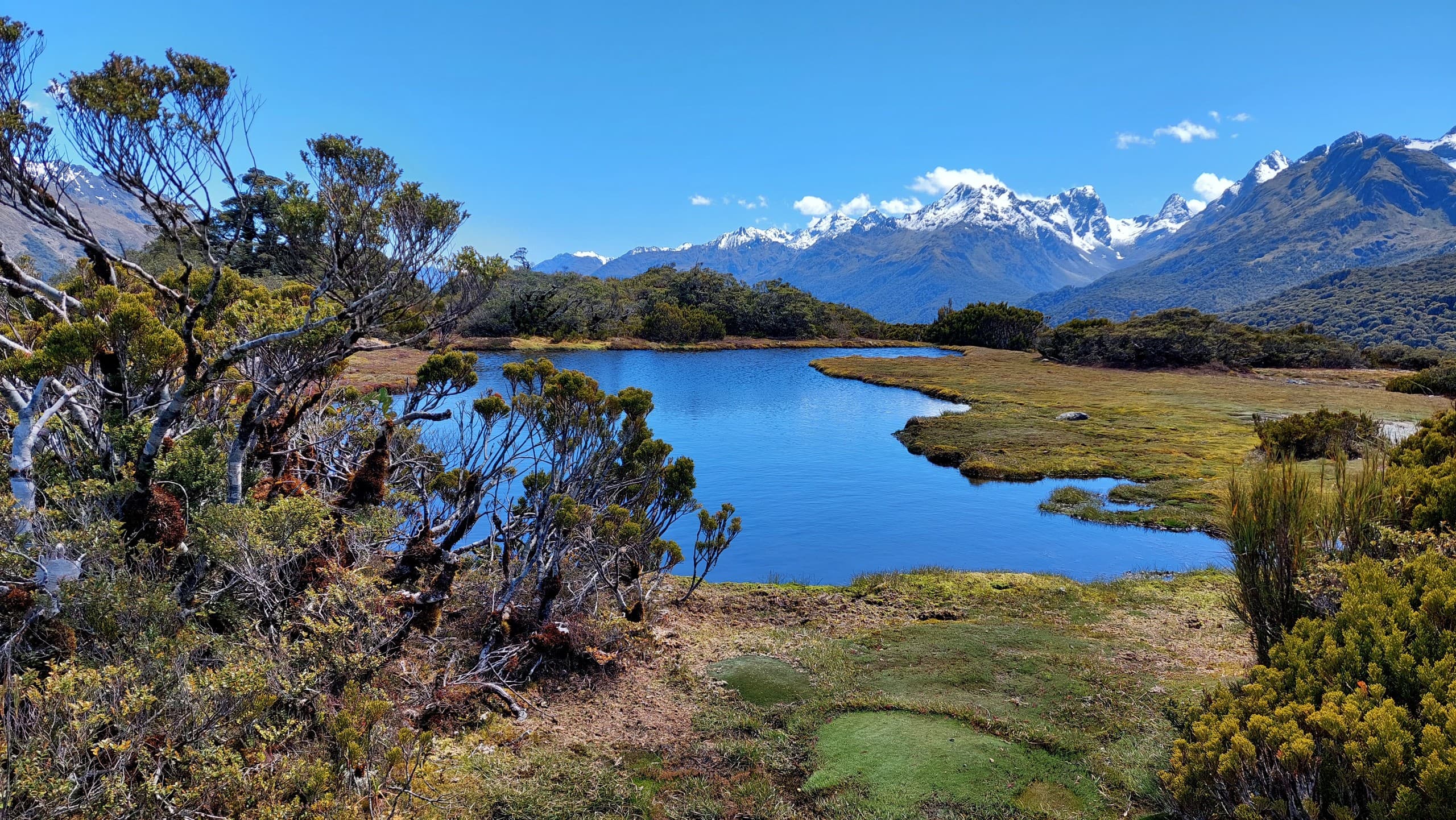 Key Summit Scenic Walk: Guided Alpine Tarn Hike with Fiordland Mountain Views photo 2
