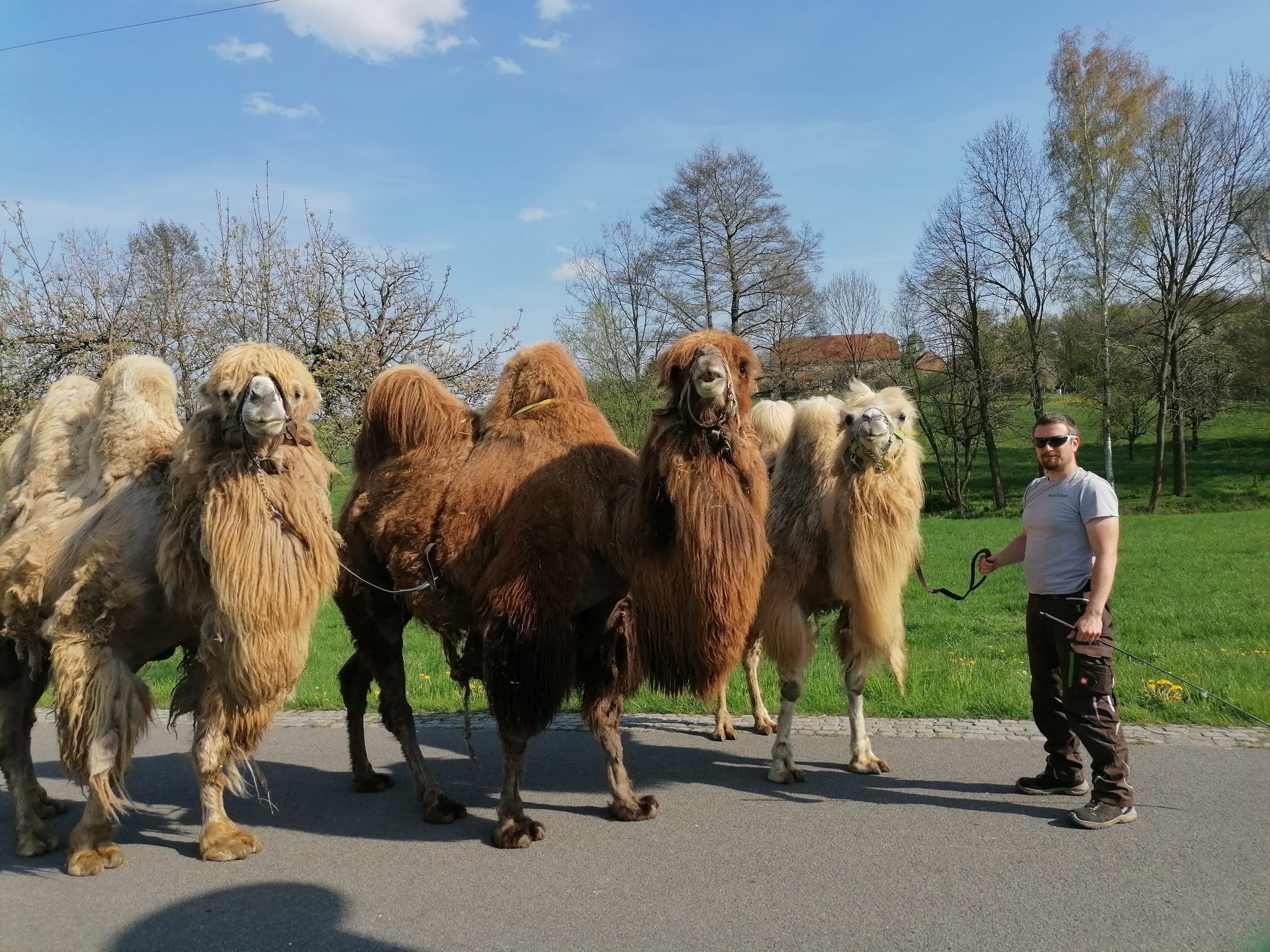 Aktivhof Lindengut team