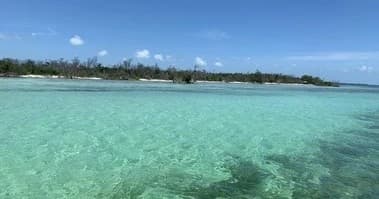 Conch 'N Around Charters fleet