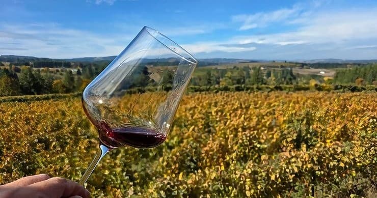 Full Concierge Experience: Private Willamette Valley Wine Day with Cellar Select Experiences