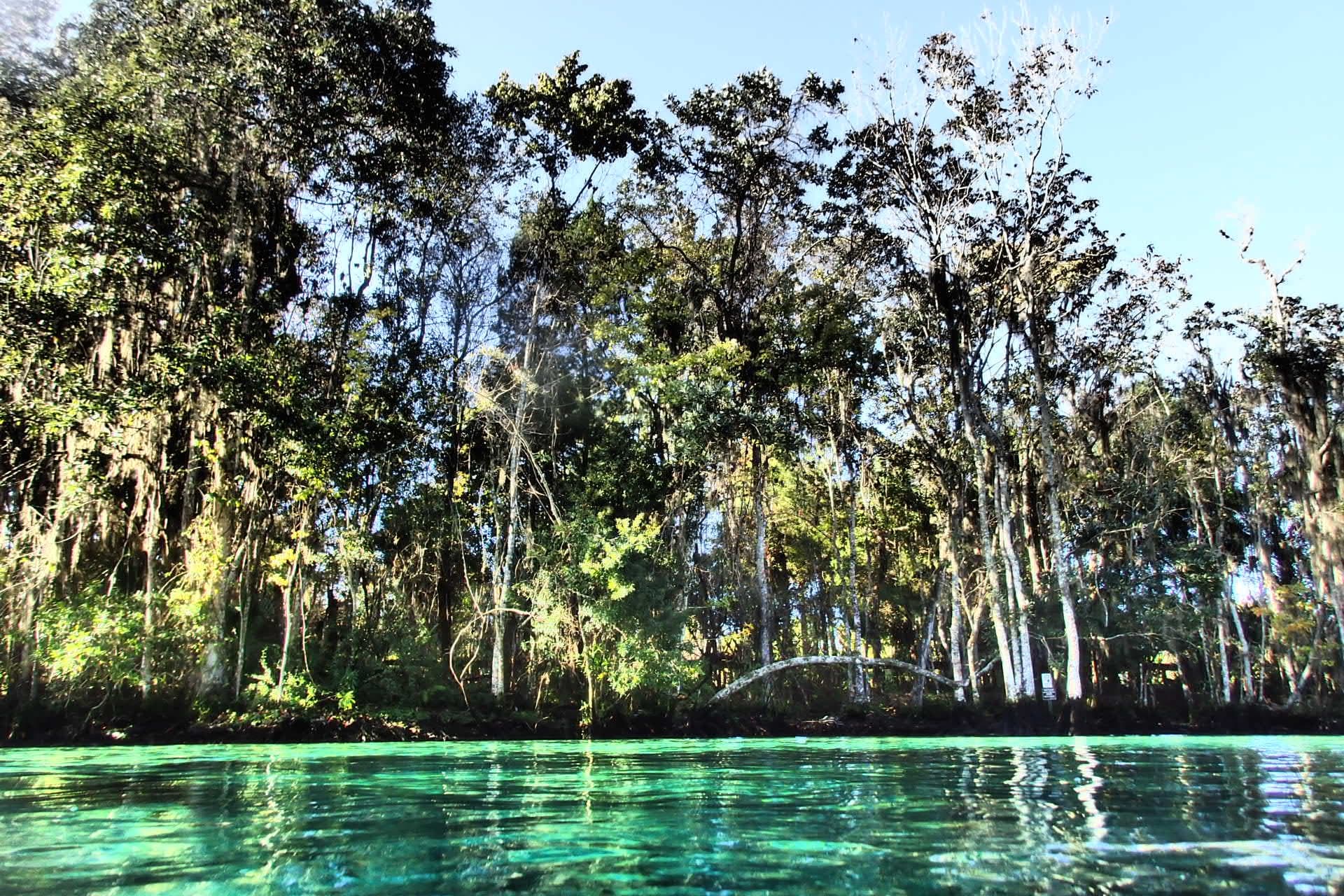 Explore Rainbow River Snorkeling in Crystal River, Florida