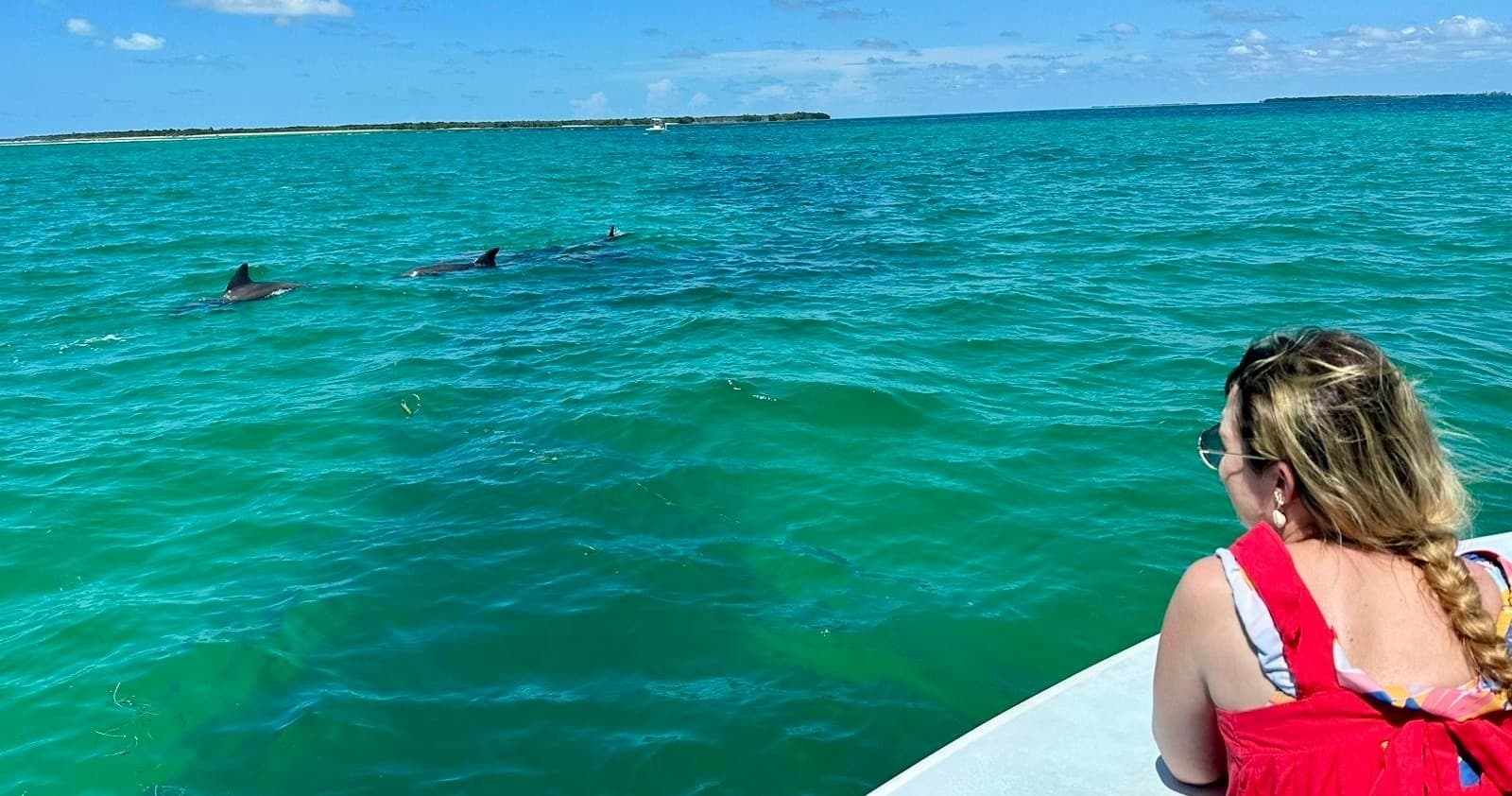 Dolphin Watching Cruise in Key West, Florida