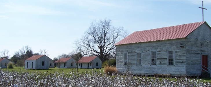 Exploring Frogmore Cotton Plantation & Gins: A Living Legacy of Cotton History in Louisiana