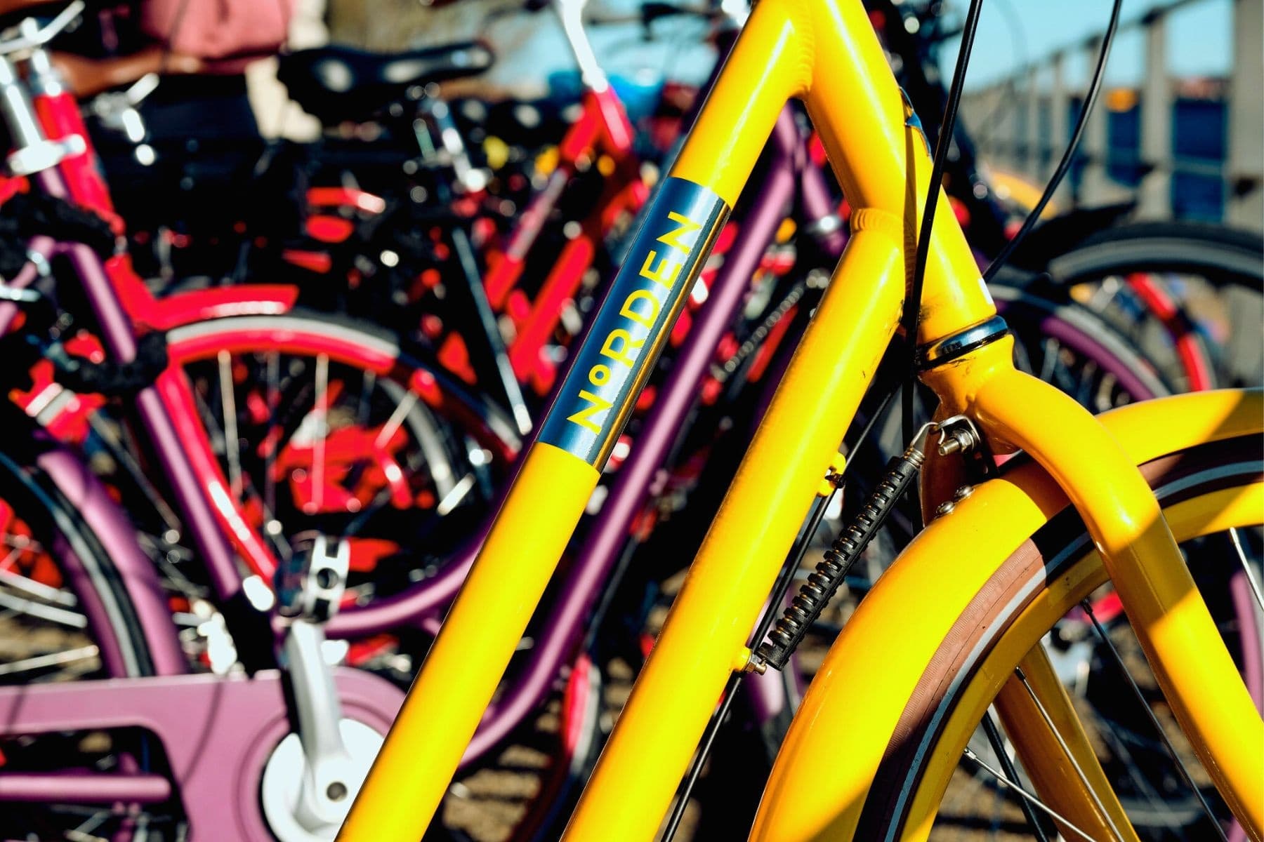 Bike Rentals in Copenhagen with Tropical Bikes