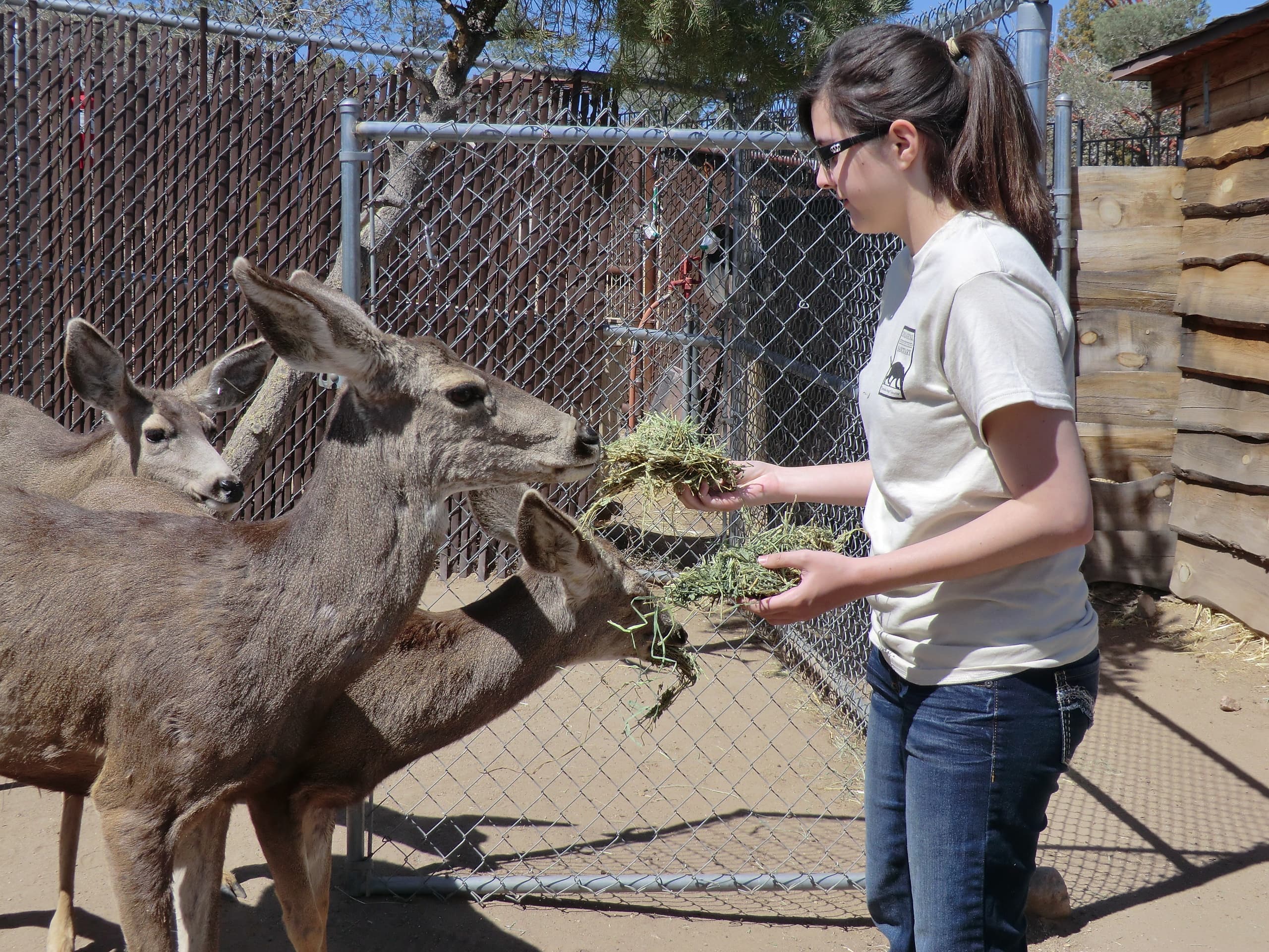 Wildlife Nature Adventure at Heritage Park Zoological Sanctuary