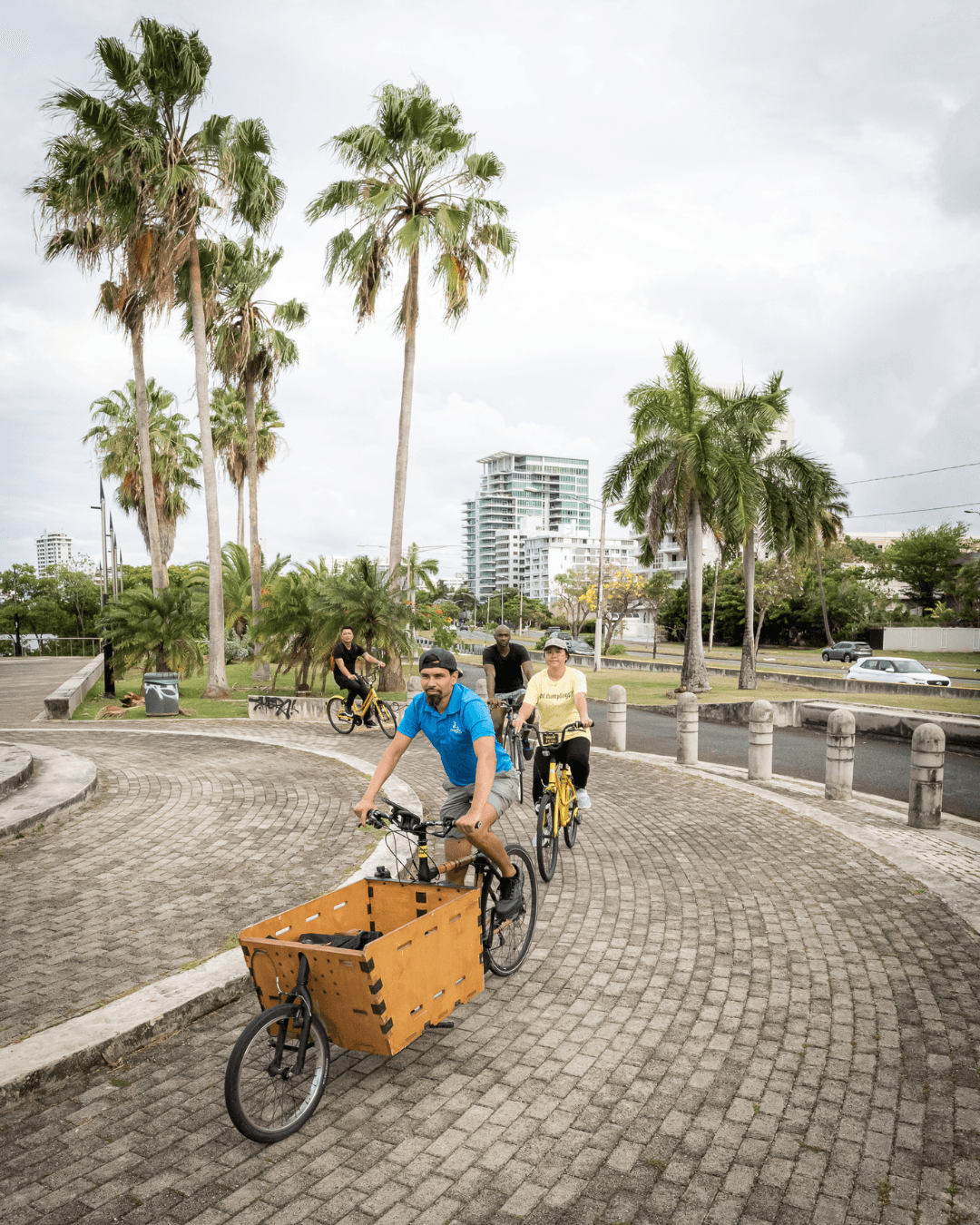 Cyclists on cargo bikes along palm-lined San Juan waterfront