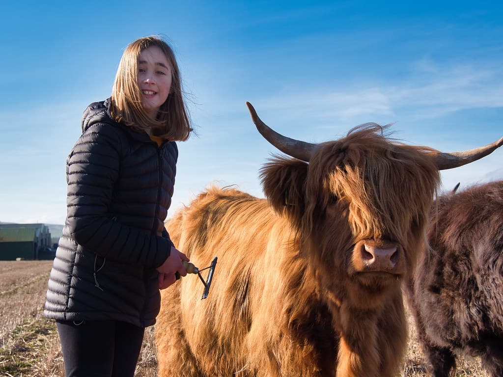 Wildlife & Animal Encounters at Newton Farm Holidays