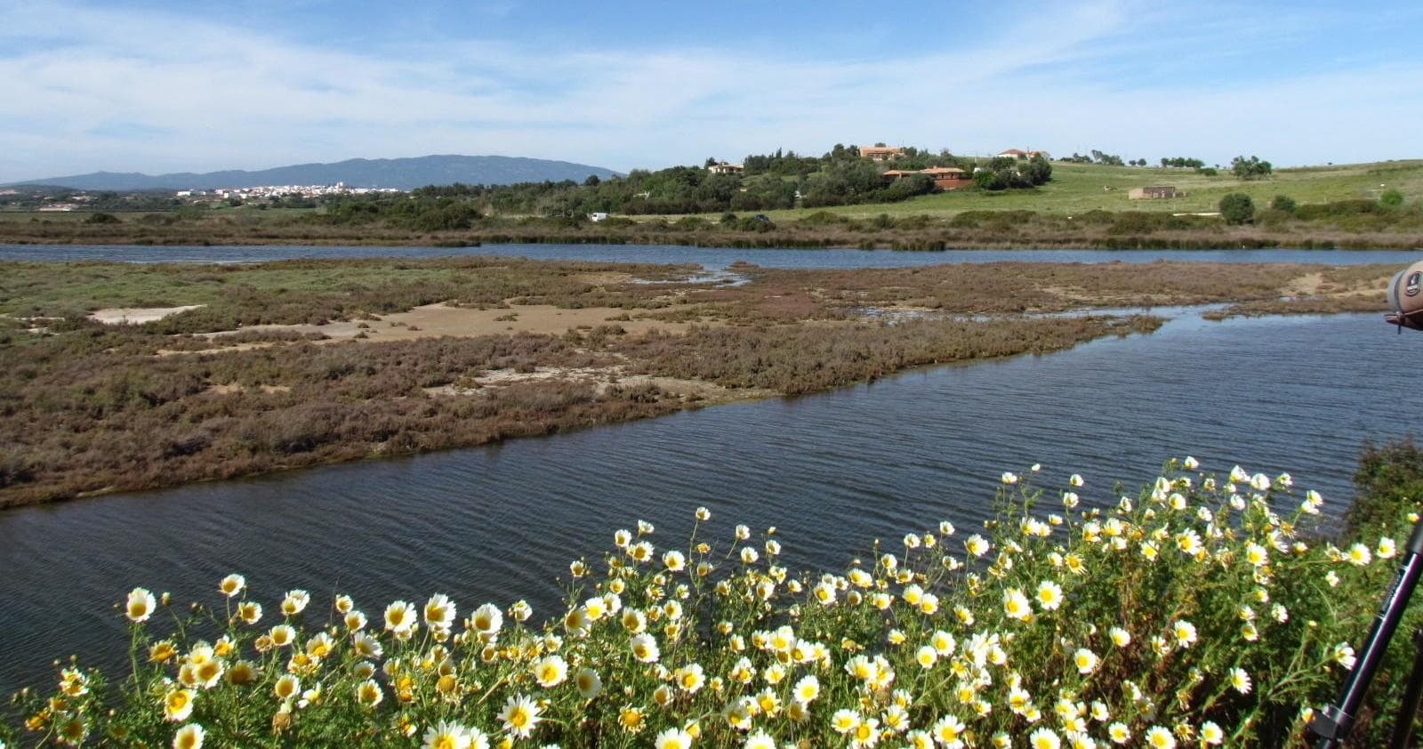 Marshland with wildflowers and tidal pools for nature walks