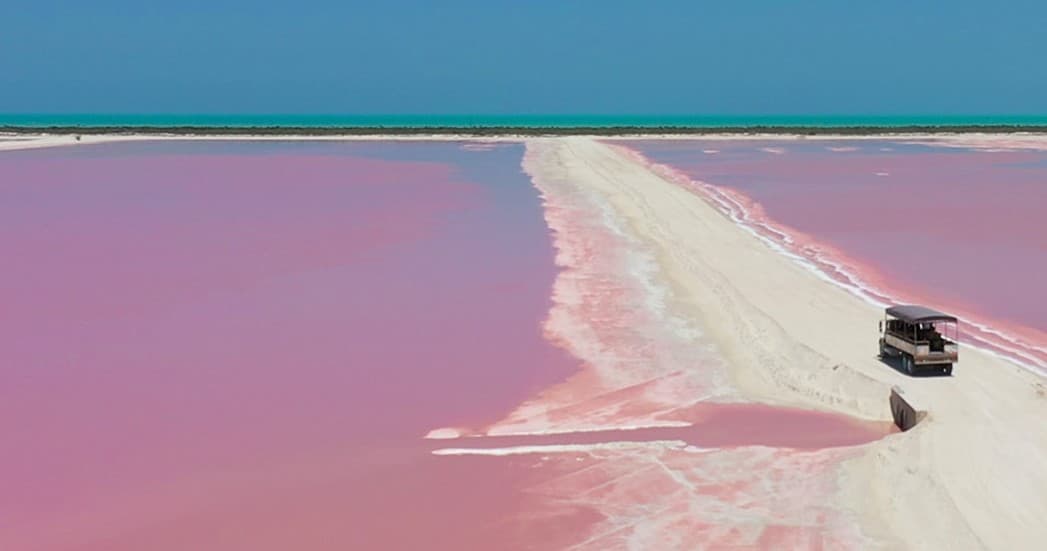Ruta de la Cosecha: Saltworks Safari at Las Coloradas, Yucatán