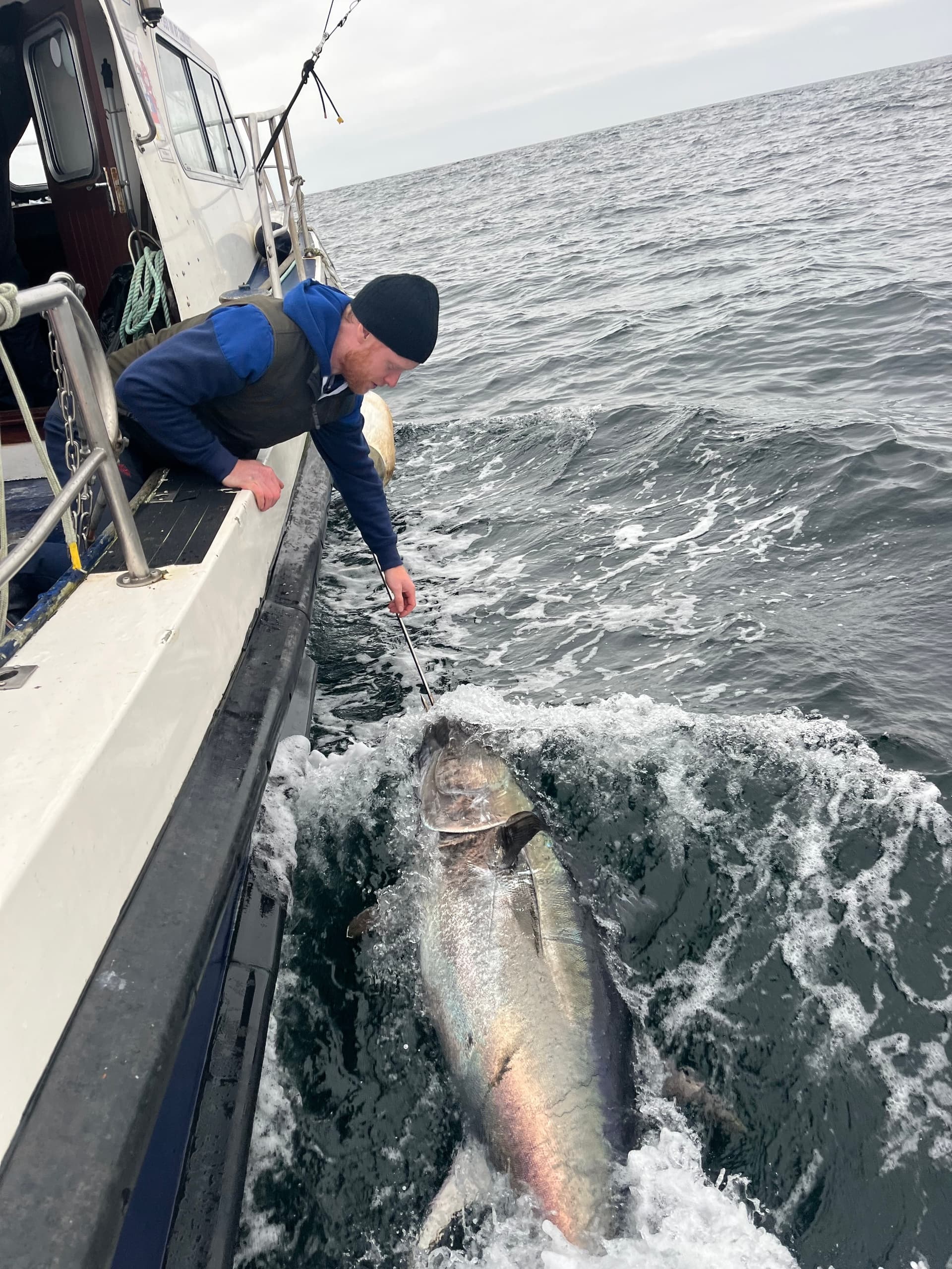Tuna Fishing Charter in Killybegs with Killybegs Angling
