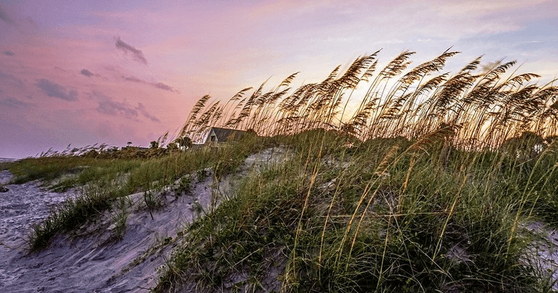 Stress-Free Family Travel: Baby Gear Rental on Hilton Head Island
