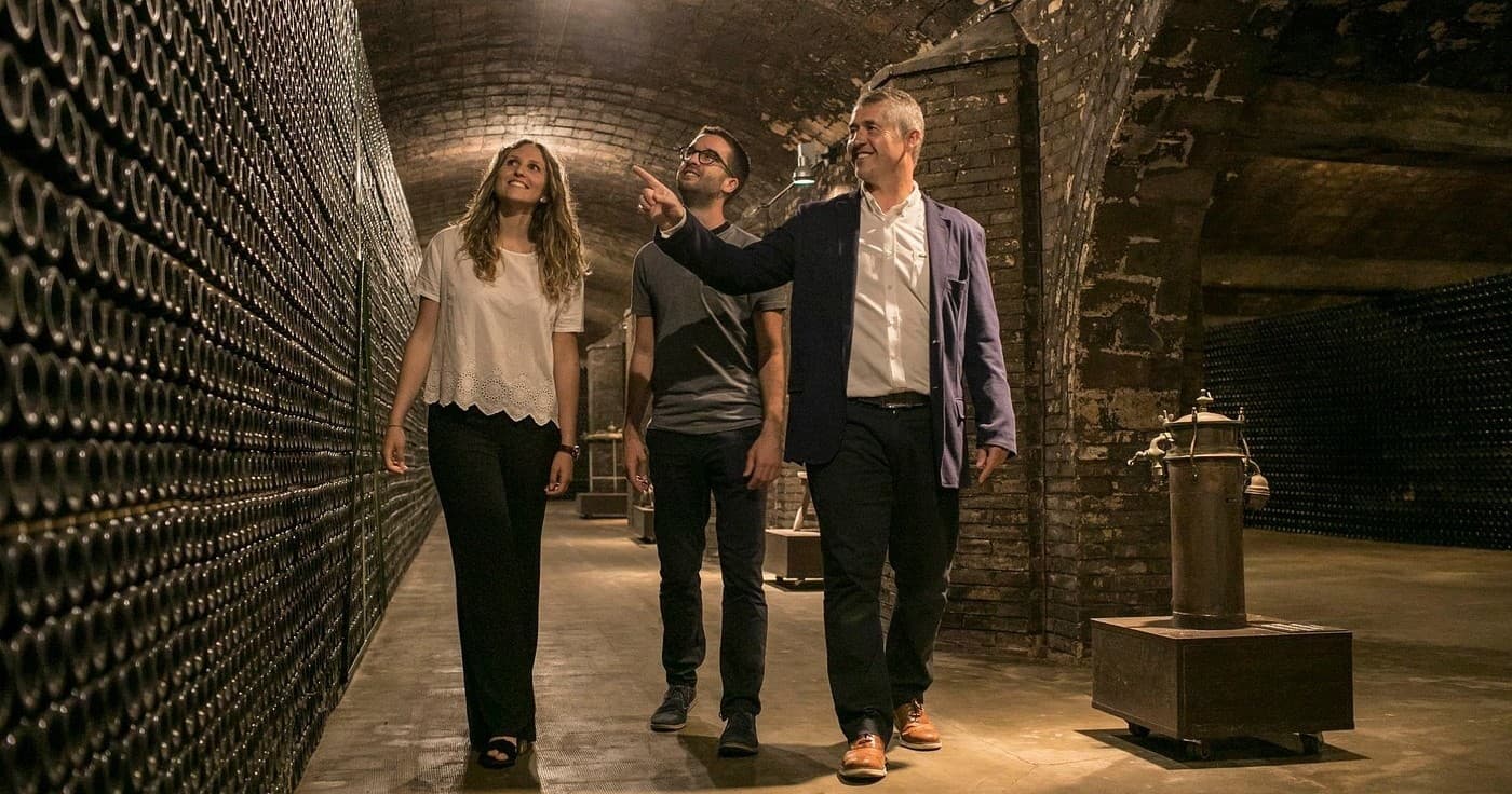 Wine & Culture: Barcelona Cellars Tour & Tasting