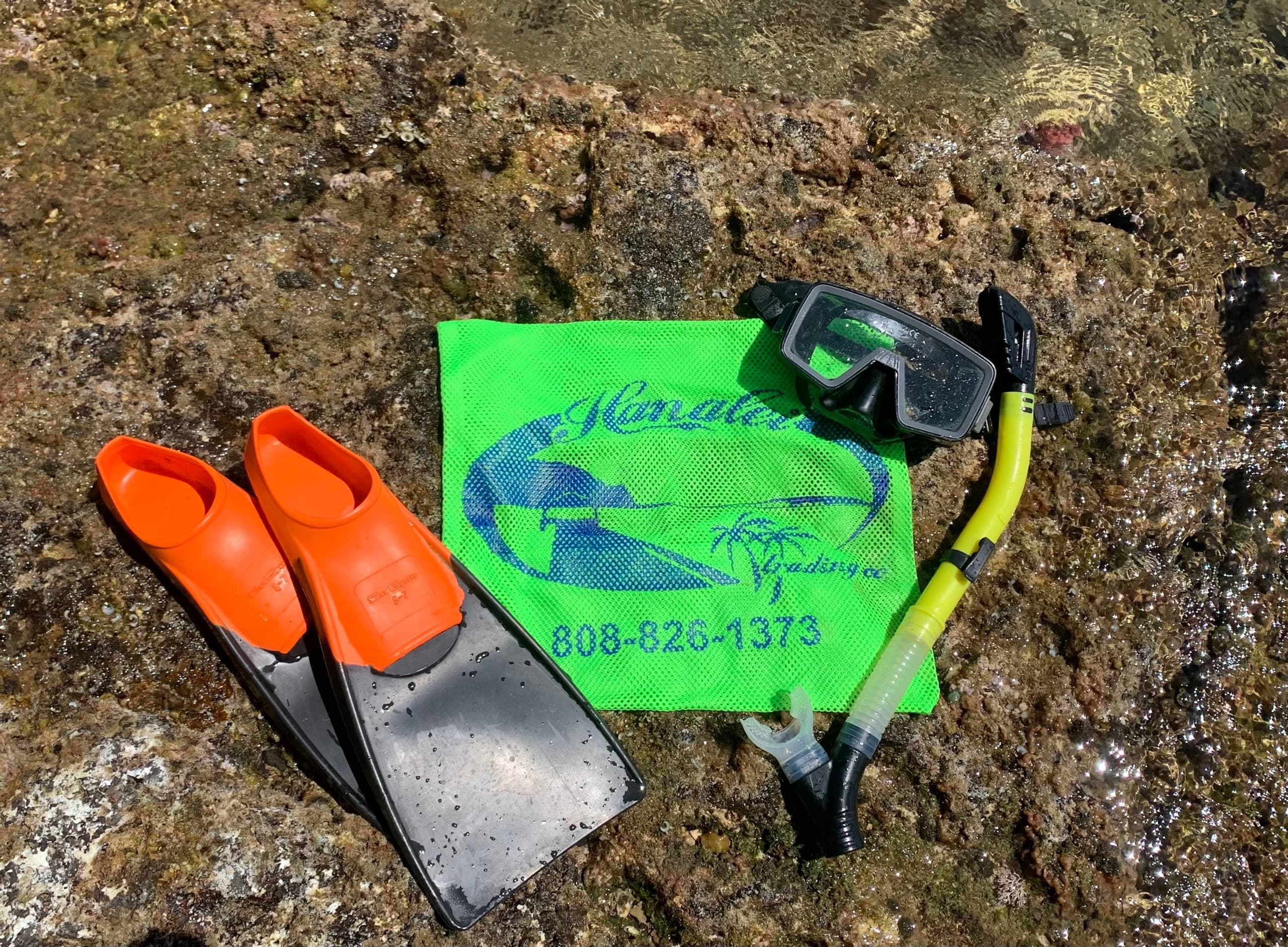 Adult Snorkel Set Adventure in Hanalei, Hawaii
