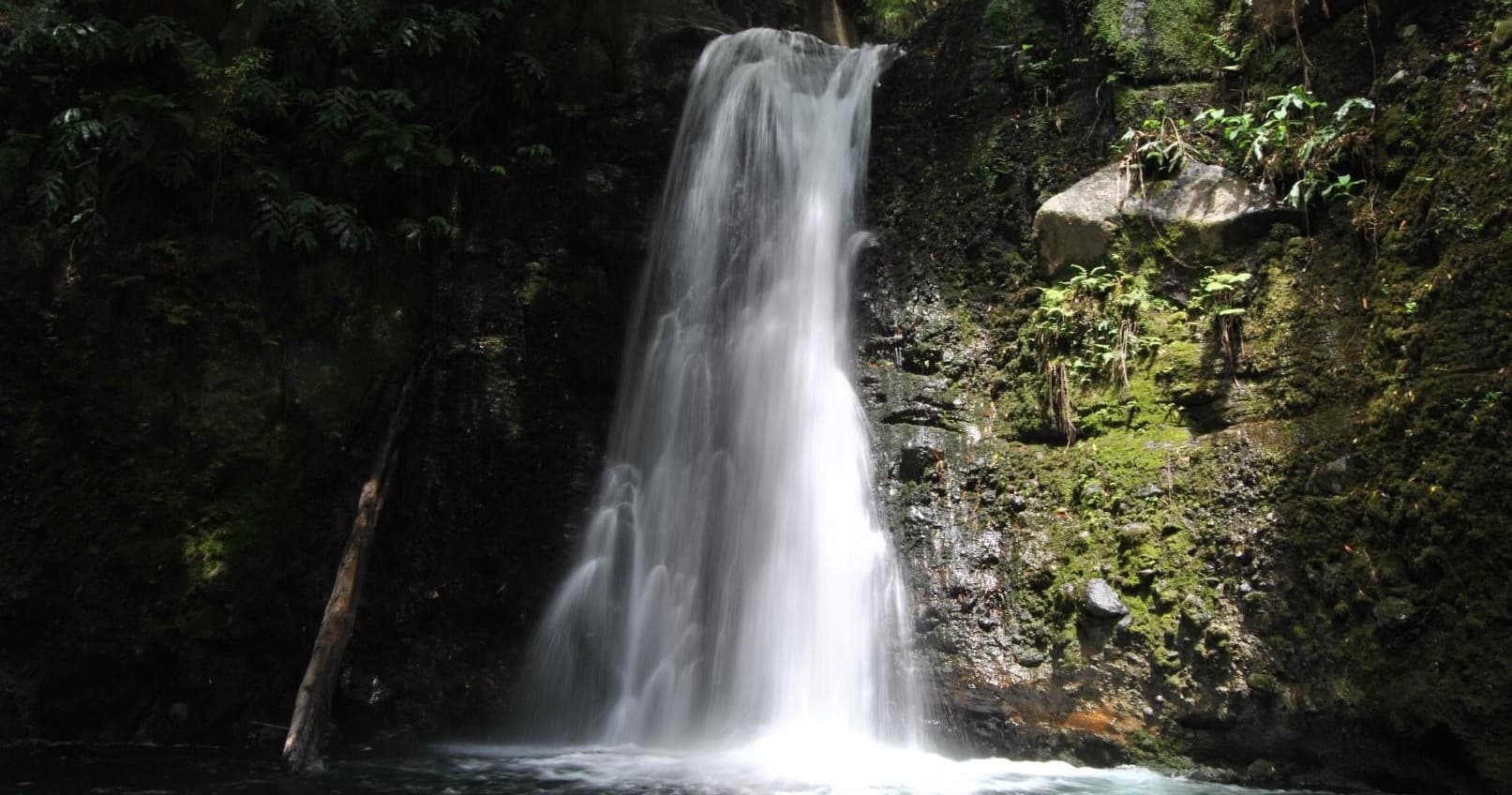 Hiking the Azores with Azorean Tours: Faial da Terra Trek