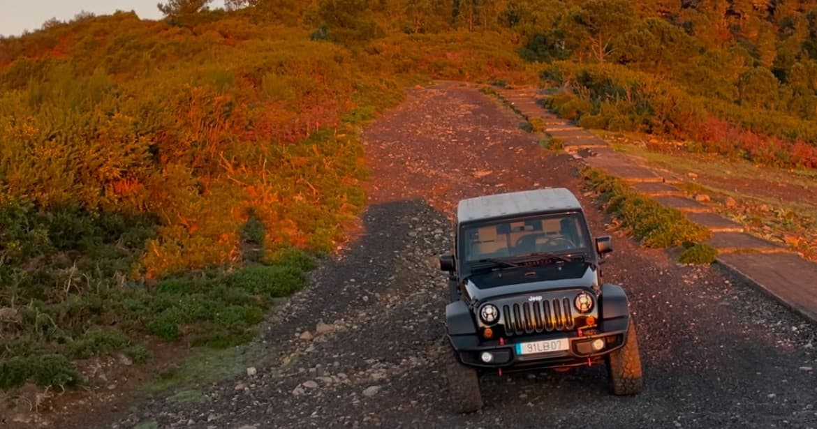 Madeira East Coast and Peaks: 4-Hour Scenic Drive from Funchal