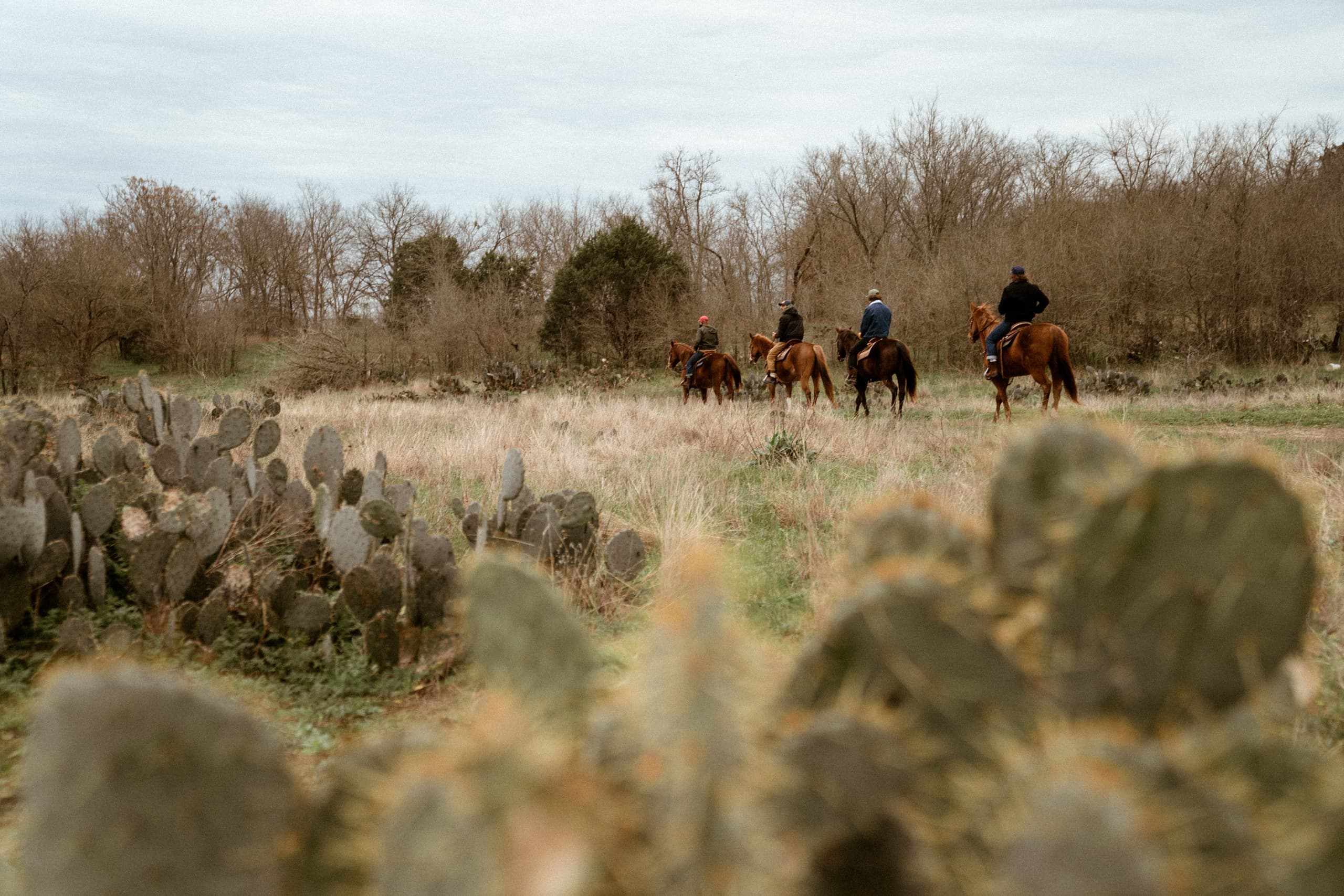 Morning Trail Riding Lessons at Lone Star Ranch, Austin