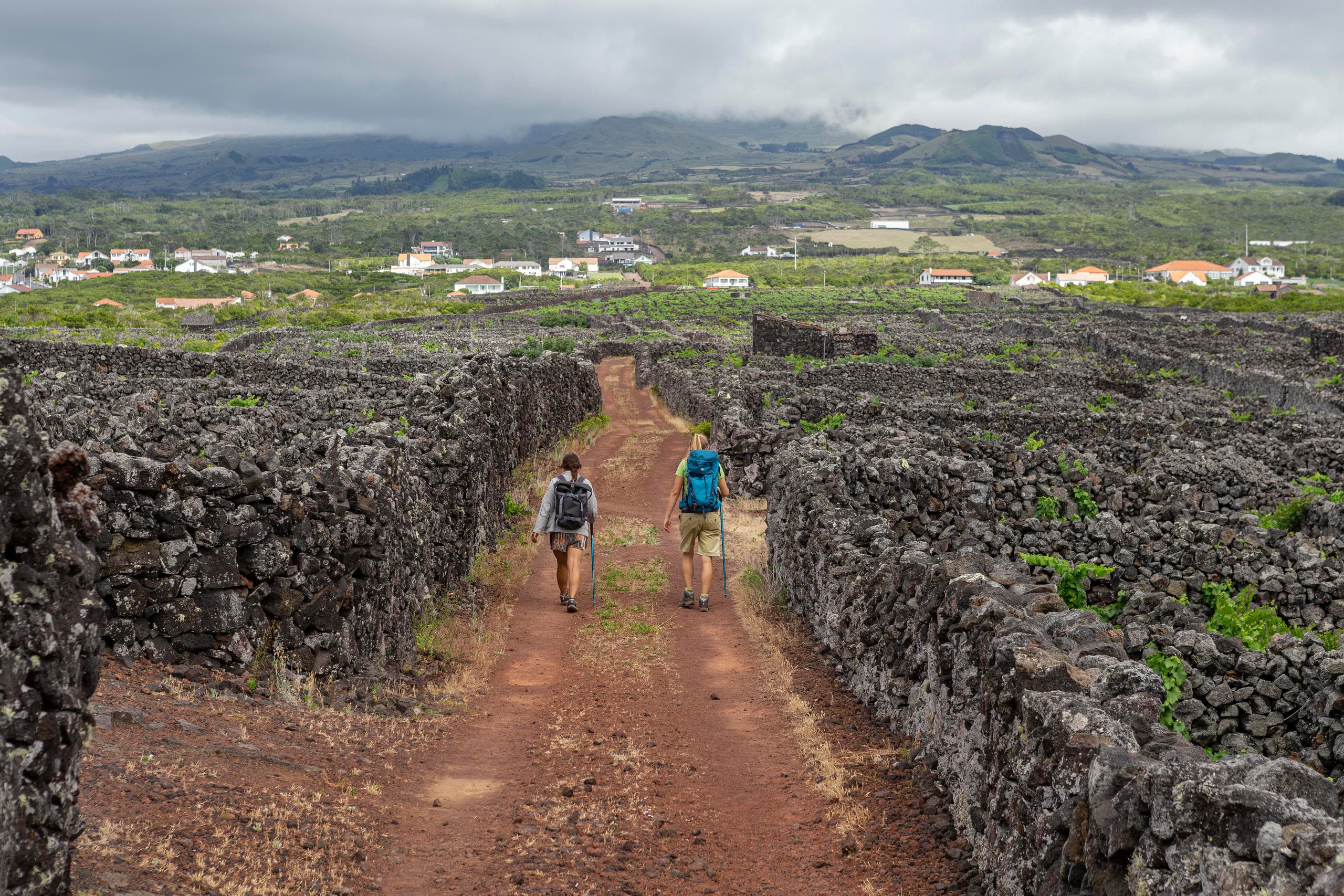 Vineyard Hike with Futurismo Azores Adventures in Madalena