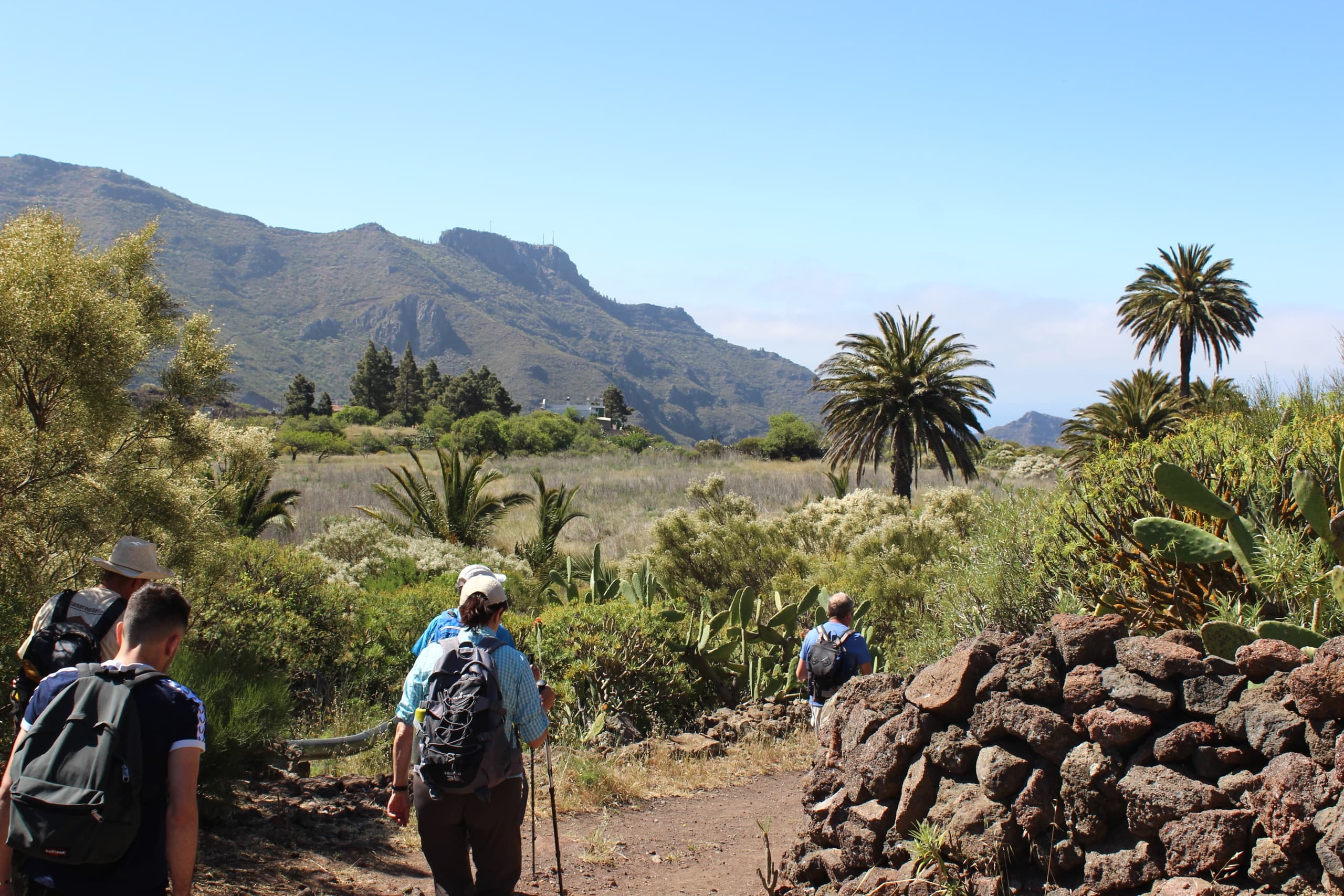 Hiking Tenerife's Ancient Camino Real Trail