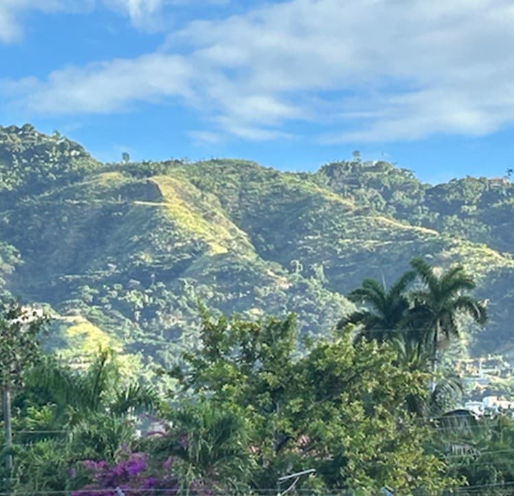 Reggae & Nature Around Kingston: Private Waterfalls, Ital Food & Bob Marley Beach Day Trip photo 2