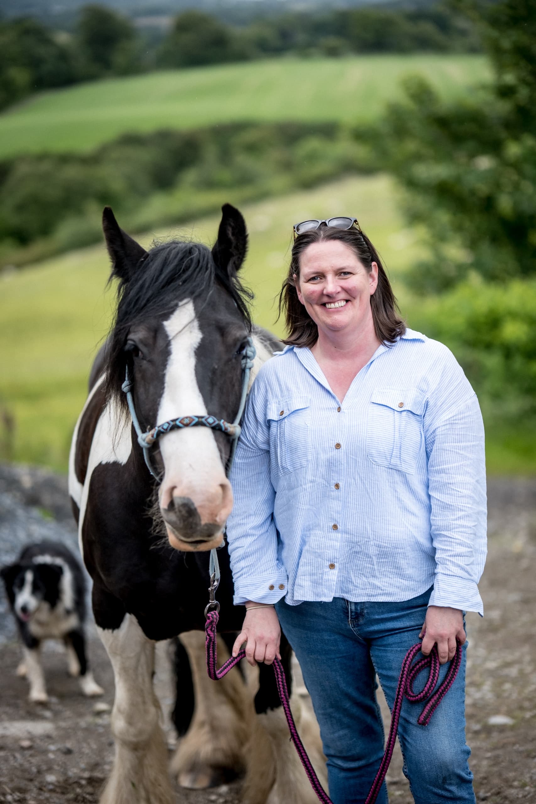 Milk, Meadows & Mountain: Taste Dart Mountain Cheese and Meet Horses Near Derry photo 4
