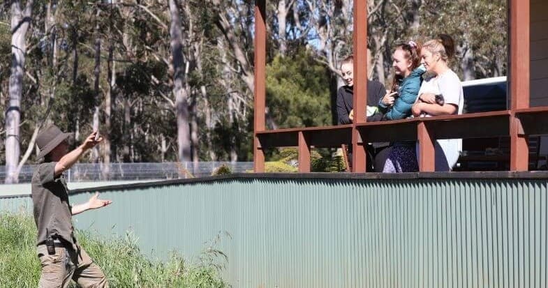 Explore Aussie Ark’s Summer Open Days: Meet Australia’s Endangered Wildlife Up Close