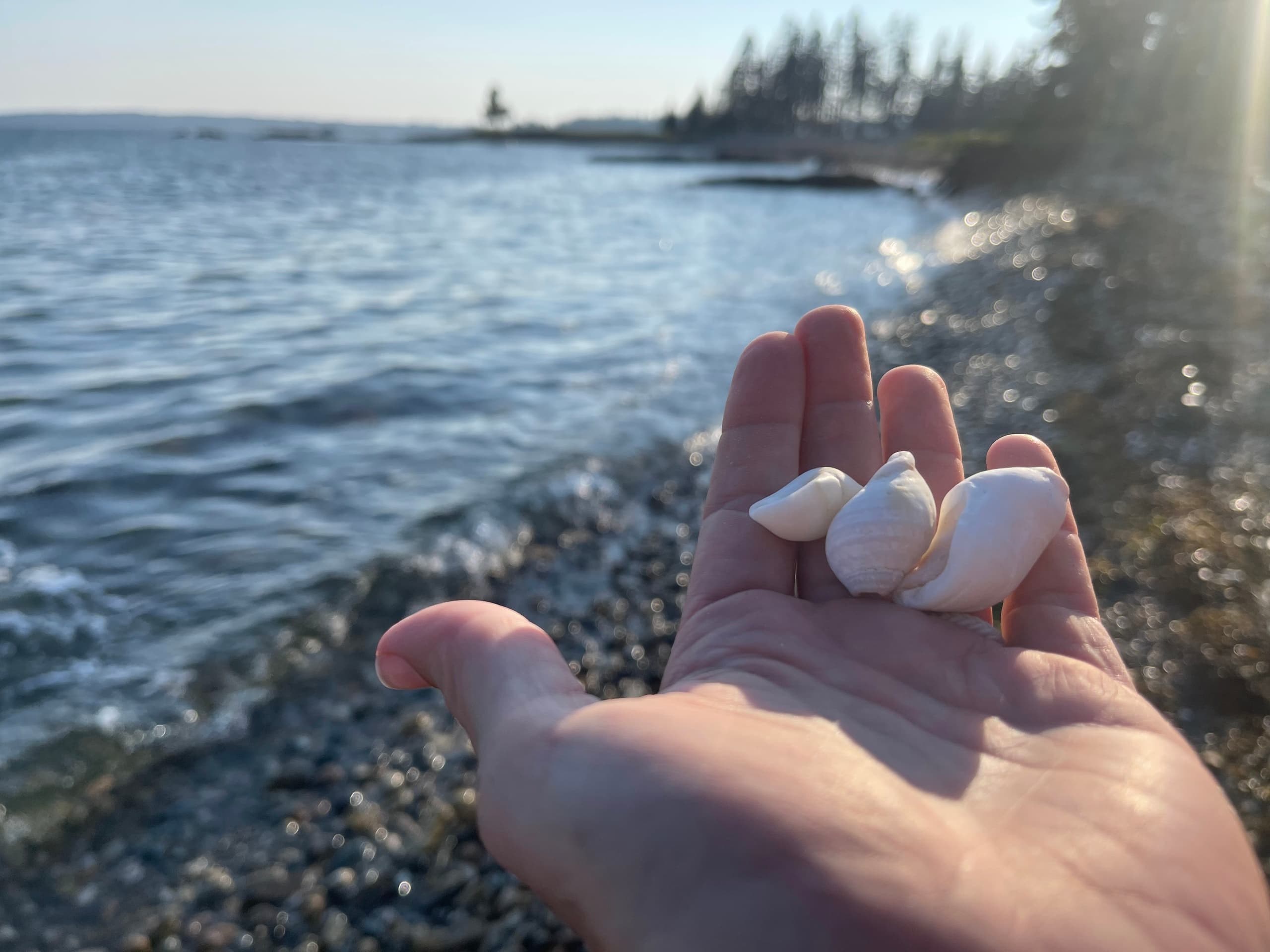 Island Hiking & Sailing Adventure in Maine