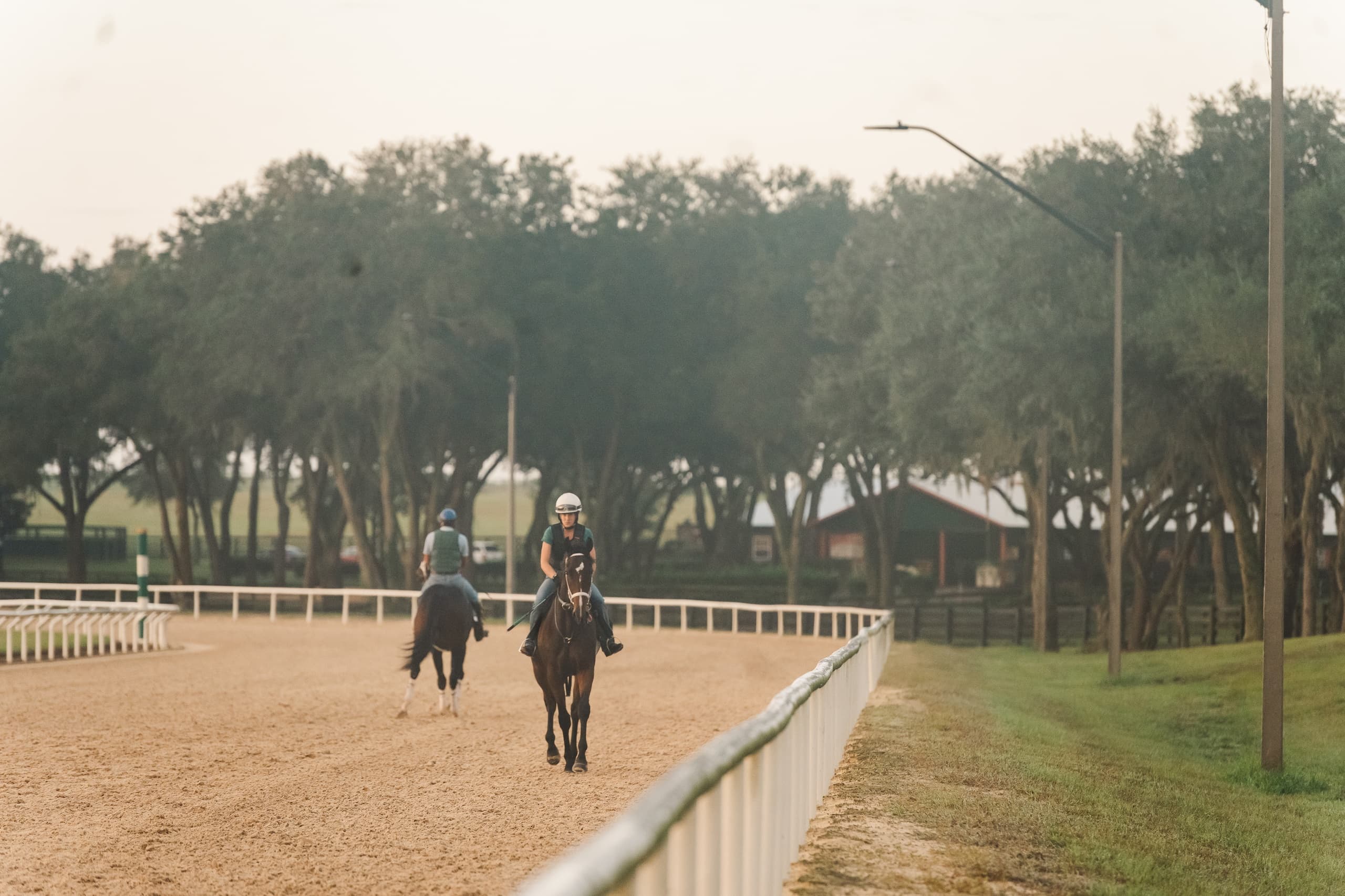 Inside Oak Ridge Training Center: Tour a Working Thoroughbred Farm Near Bronson, FL photo 2