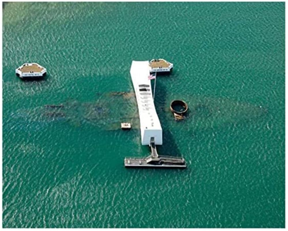 Fly Shuttle Tours fleet